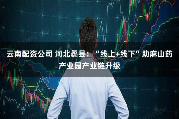 云南配资公司 河北蠡县：“线上+线下”助麻山药产业园产业链升级